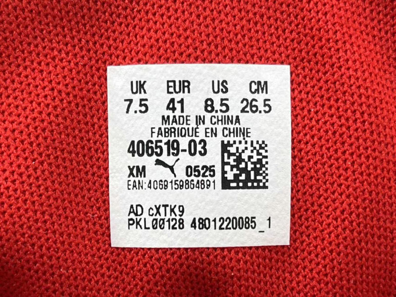 Balenciaga & Puma Speedcat