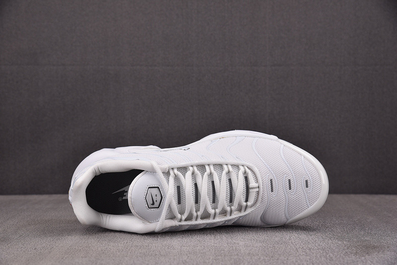 Nike Air Max Plus 