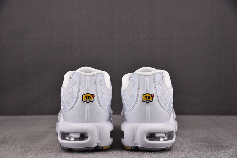 Nike Air Max Plus 